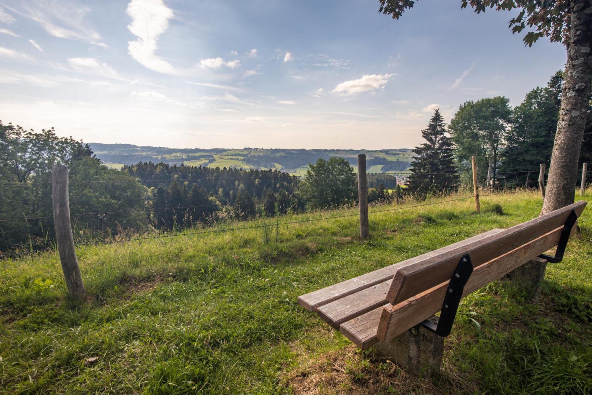 Allgaeu-Glueck Gruenenbach Grunenbach Kültér fotó